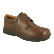 DB Shoes Newton 87048B Brown Shoes