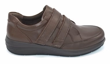 DB Shoes Jupiter EV 87167B Brown Shoes