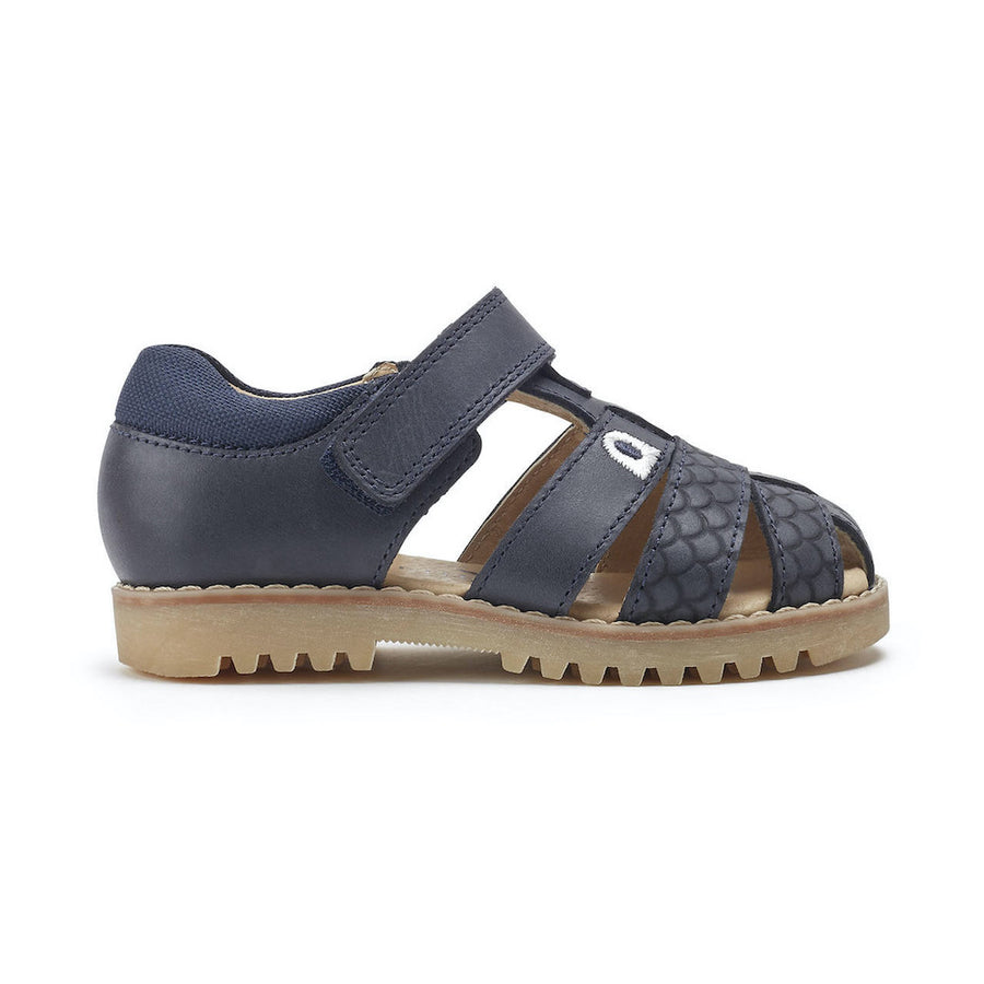 Start-Rite Dino Park 5207_2 Navy Sandals