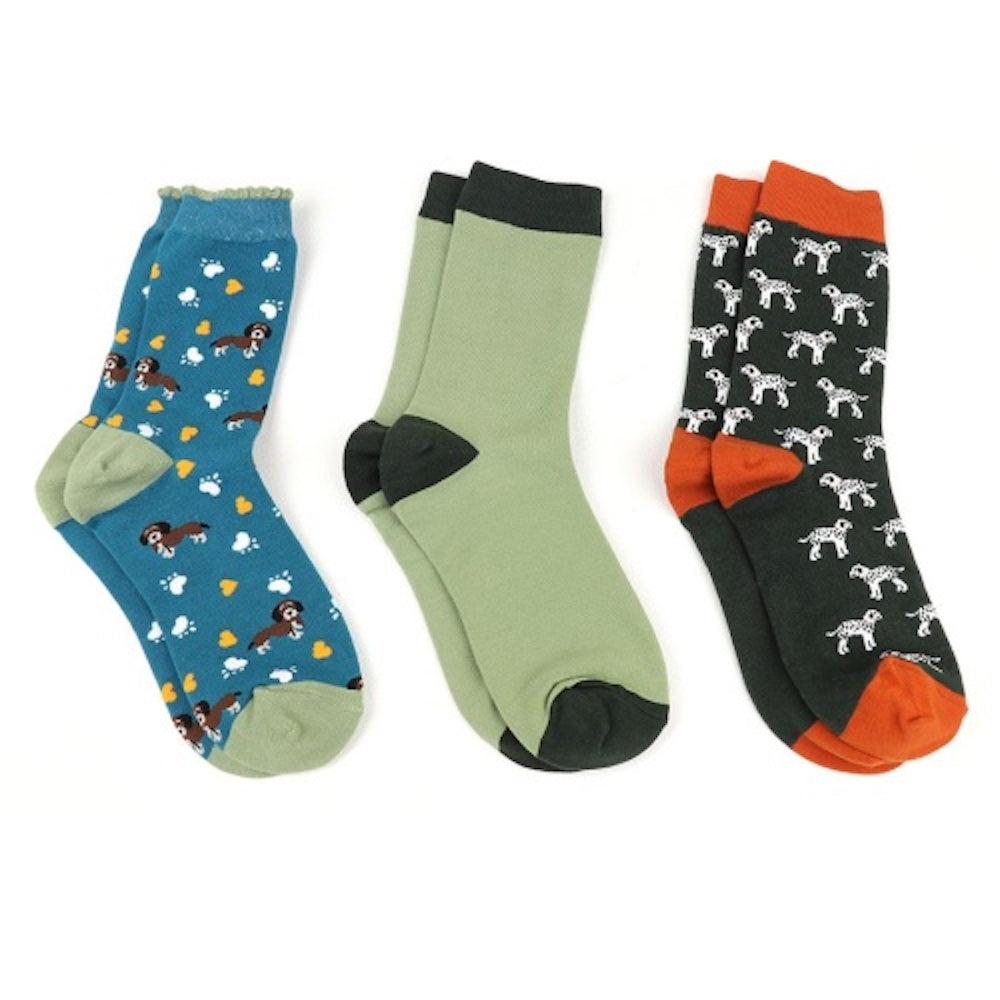 Pom Dog mix triple sock gift box 20174